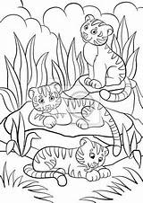 Kolorowanki Tygrysy Tigres Tigers Dzikie Zwierzeta Mignons Tre Tigrotti Coloritura Selvatici Svegli Piccoli Trzy Slodkie Savanna Bébé Animaux Coeur Repose sketch template