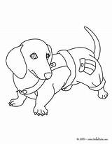 Dachshund Coloring Pages Printable Puppy Getcolorings Color sketch template
