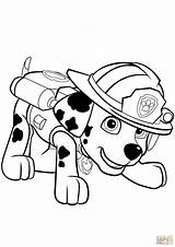 Coloring Patrol Marshall Paw Pages Puppy Printable sketch template