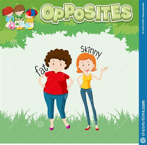 opposite words for fat and skinny stock vector illustration of eps10