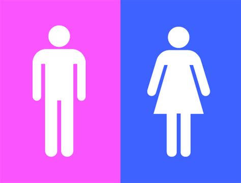binary genders gender wiki fandom powered by wikia