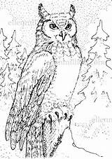 Horned Owl sketch template