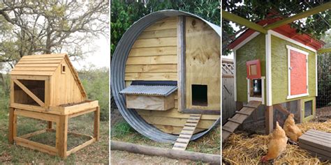 amazing diy chicken coop plans designs  ideas