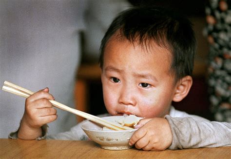 nahrungsmittel weltweit politik fuer kinder einfach erklaert hanisaulandde