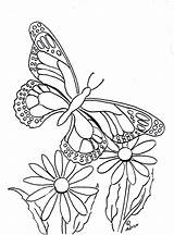 Butterfly Coloring Print Pages Color Printable Flower Kids Copy Flowers Butterflies Sheets Paintable Adult Adron Mr Patterns sketch template