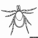 Tick Insect Ticks Thecolor sketch template