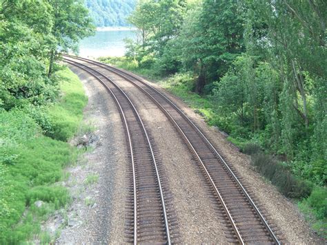 filetwin track  train rails   wooded areajpg wikimedia commons
