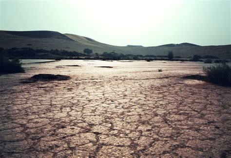 fears  uk summer drought  months   rainfall pitchcare