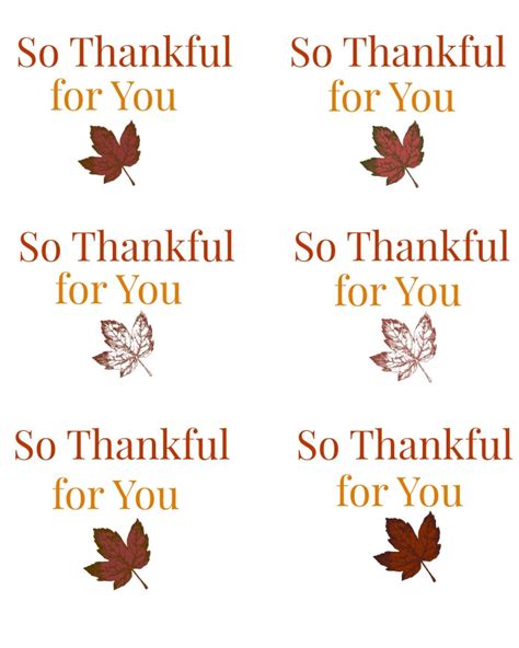 thanksgiving gift tags printable  cup full  sass