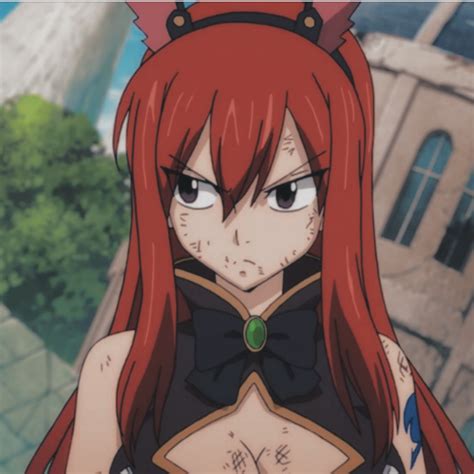dumbass erza icons   fairy tail anime fairy tail erza
