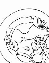 Coloring Seafood Pages Flatfish Results Getcolorings Printable sketch template