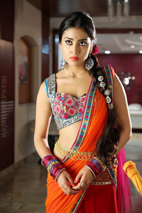 Actress Shriya Saran In Saree New Hot Hq Photos Collection