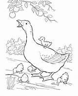 Coloring Goose Mother Pages Popular sketch template