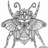 Coloring Beetle Pages Welshpixie Colouring Deviantart Adult Insects Animal Beetles Books 145c Printable Bug Zentangle Book sketch template