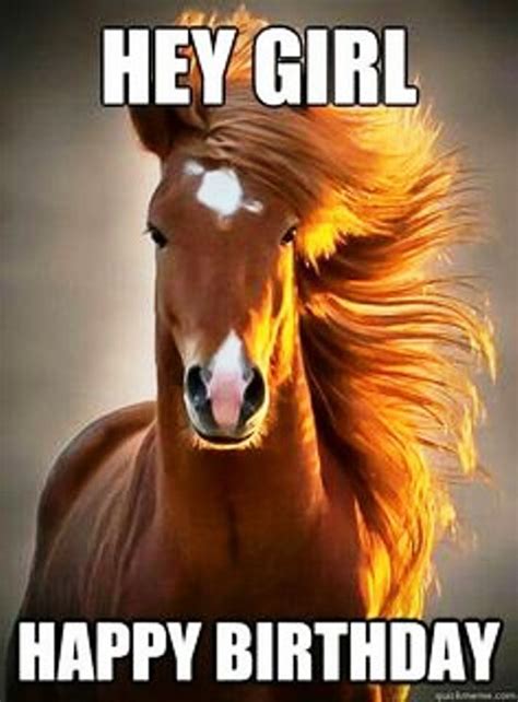 birthday wishes  horse page