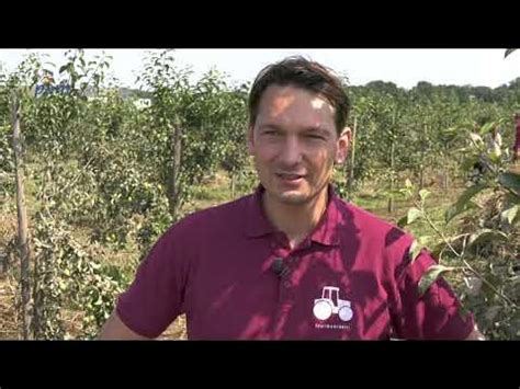 scouting lunteren helpt met opruimen ondergelopen boomgaarden baarlo youtube