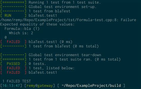 project setup  cmake unit tests google test raymiiorg