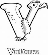 Coloring Pages Vulture sketch template