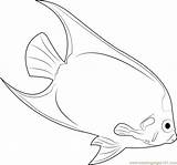 Coloring Mask Angelfish Yellow Fish Printable Fishes Coloringpages101 sketch template