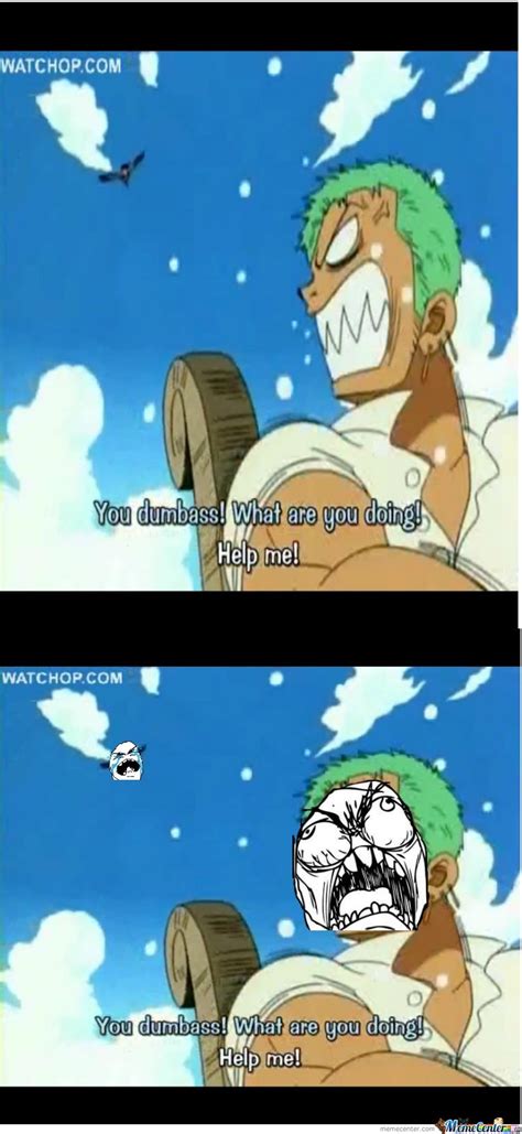 Luffy And Zoro By Hiru Meme Center