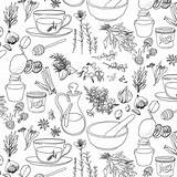 Herbs Vector Pattern Medicinal Freepik sketch template