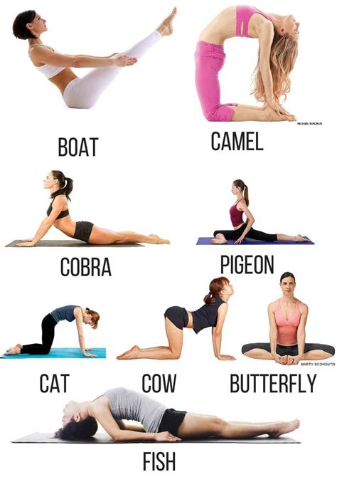 yoga poses  period  yoga work  picture
