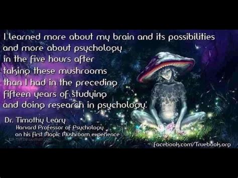 list 25 best terence mckenna quotes photos collection