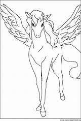 Einhorn Pegasus Ausmalbild Fliegendes Ausmalen Malvorlage Fabelwesen Pferd Malbilder Regenbogen Fee Meerjungfrau Kostenlose Einhörner Pony Unicorn Meerjungfrauen sketch template