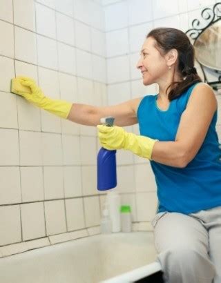 hiring  reliable house cleaner thriftyfun