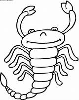 Coloring Pages Scorpion Zodiac Scorpio Printable Sign Color Kids Animals Worksheets Scorpions Painting Click Other Categories sketch template