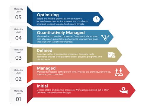 assess  companys security maturity delap