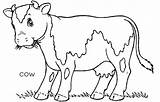 Coloring Cow Kidsplaycolor Cows Chewing sketch template