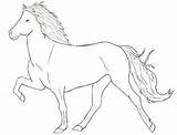 Horse Iceland Coloring Pages Icelandic Baby Deviantart Draw Colouring Horses Getcolorings Fascinating Visit Island Choose Board Print Hor sketch template