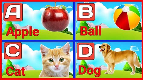 N For Nest G For Goat S For Sheep Learn Abcd With Live Examples Abc