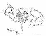Playing Cat Yarn Cats Coloring Pages Ball Silhouette Kittens Gatos Clipartqueen Touch Guardado Dibujos Desde Google sketch template