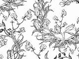 Malvorlagen Ranken Blumenranken Blumenmotive Vorlagen sketch template