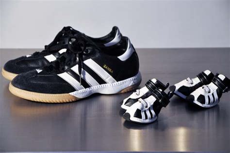 adidas sportswear  sneakers  small dogs fun pet design ideas