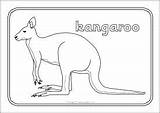 Colouring Sheets Australian Animals Pages Coloring Animal Australia Sparklebox Choose Board sketch template