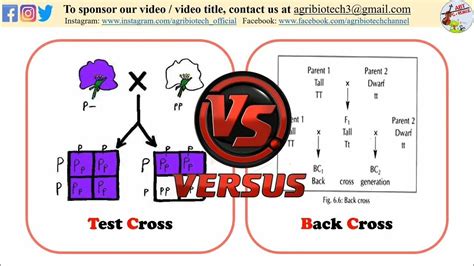 difference   cross  test cross  cross  test cross youtube