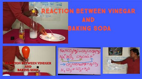 vinegar bakingsoda reaction between vinegar acetic acid and baking