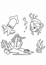 Tintenfisch Fisch Malvorlage sketch template