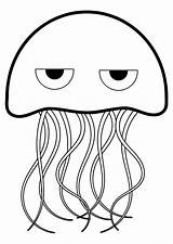 Jellyfish Coloring Clipart Pages Library sketch template