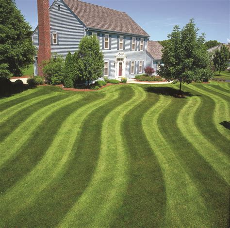landscaping tips   create striping patterns   lawn