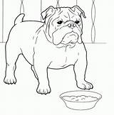 Bulldog Coloring French Pages Jack Puppy Sheets Dog Bulldogs Printable Colouring Color Bull English Russell Drawing Print Dogs Super Cute sketch template