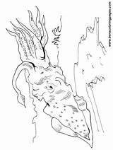 Squid Coloring Pages Print Getcolorings Sea sketch template
