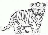 Tiger Coloring Outline Baby Drawing Face Printable Clipart Pages Sheet Book Popular Zentangle Print Pdf Getdrawings Coloringhome Library Without Bengal sketch template