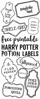 Harry Potion Potions Papertraildesign sketch template