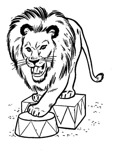 lion coloring pages coloringpagescom