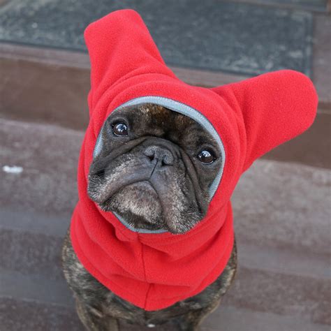 snorf industries launches kickstarter campaign   dogs ears warm