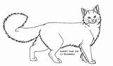 Cat Lineart sketch template